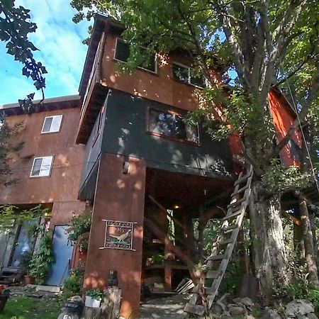 Cottonwood Cabins Fritz Creek المظهر الخارجي الصورة