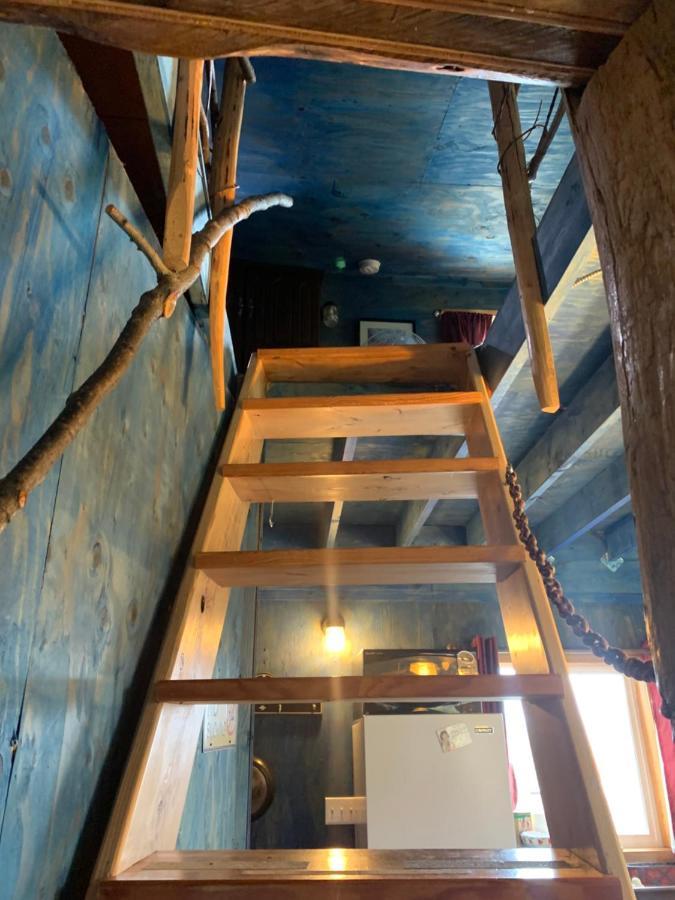 Cottonwood Cabins Fritz Creek المظهر الخارجي الصورة