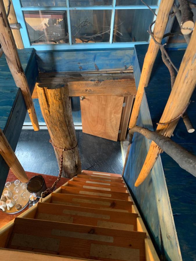 Cottonwood Cabins Fritz Creek المظهر الخارجي الصورة